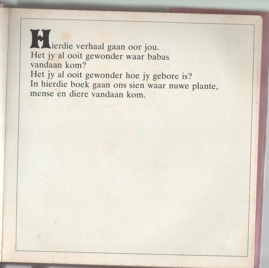 WAAR KOM BABS VANDAAN? - ANDREW C EN STEVEN SCHEPP (1 SE UITGAWE 1978)