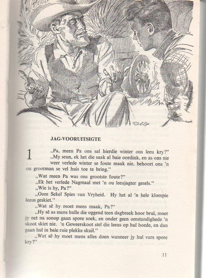 KAMPVURE WAT NIE UITBRAND NIE - P J SCHOEMAN (2 DE DRUK 1968) JAGVERHALE