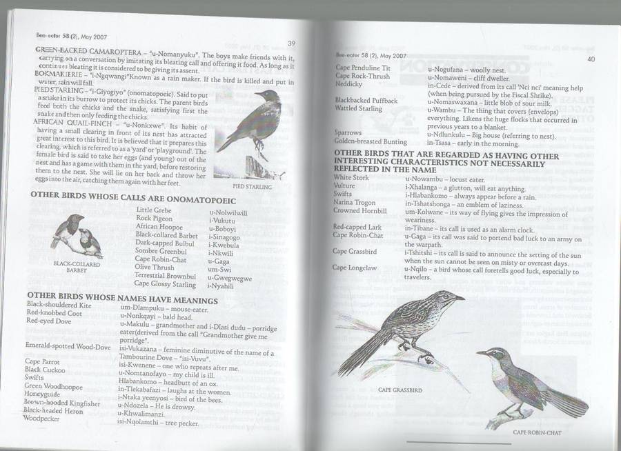 THE BEE-EATER AND BIRDLIFE EASTERN CAPE NEWS - BIRDLIFE EASTERN CAPE (MAY 2007)