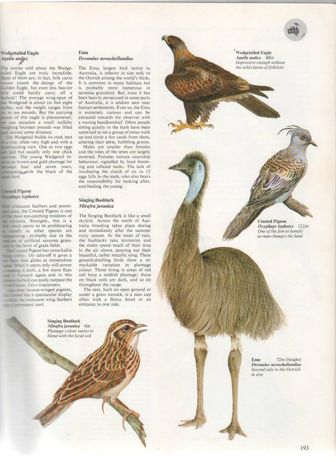 THE WORLD ATLAS OF BIRDS - MITCHELL BEAZLEY PUBLISHERS - MARTYN BRAMWELL EDITOR (1980)