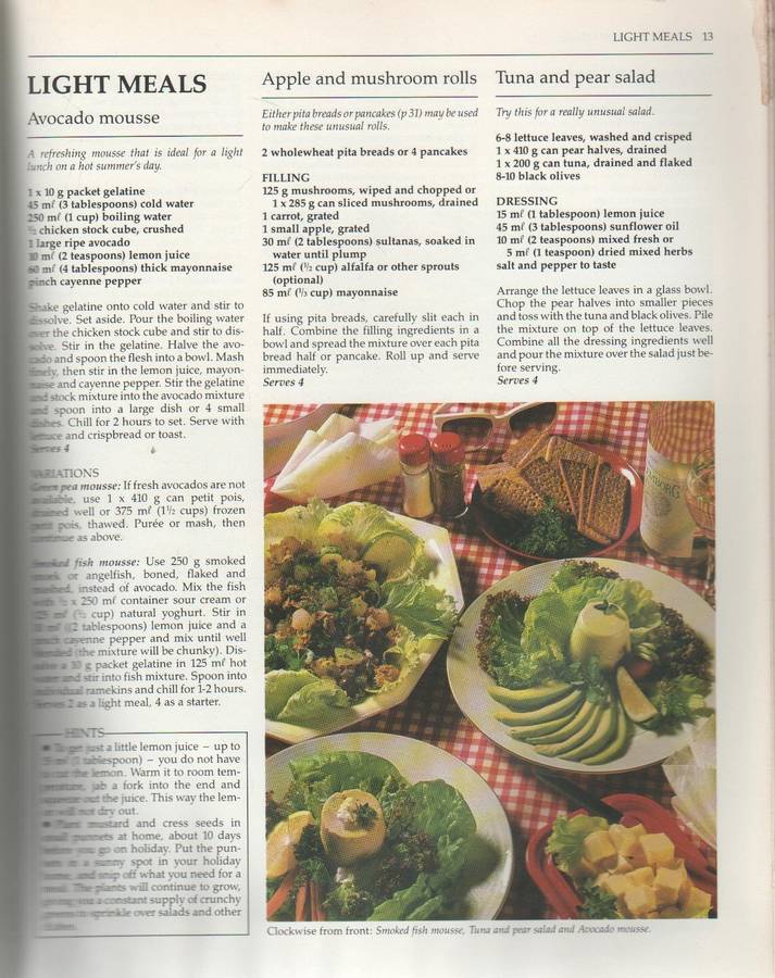 CADAC HOLIDAY COOKBOOK - PAT BARTON & GILLIAN CASTLE (1 ST PUBLISHED 1989)