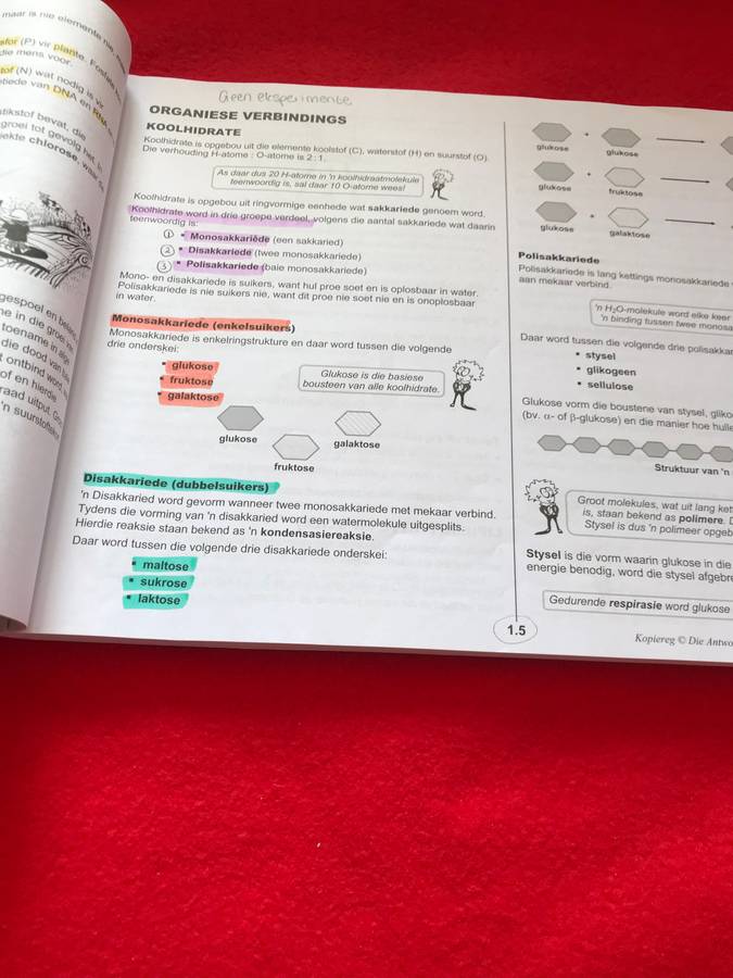 Graad 10: Antwoordreeks Lewenswetenskappe