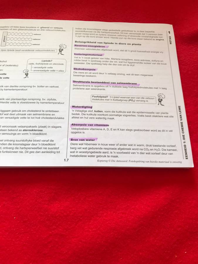 Graad 10: Antwoordreeks Lewenswetenskappe