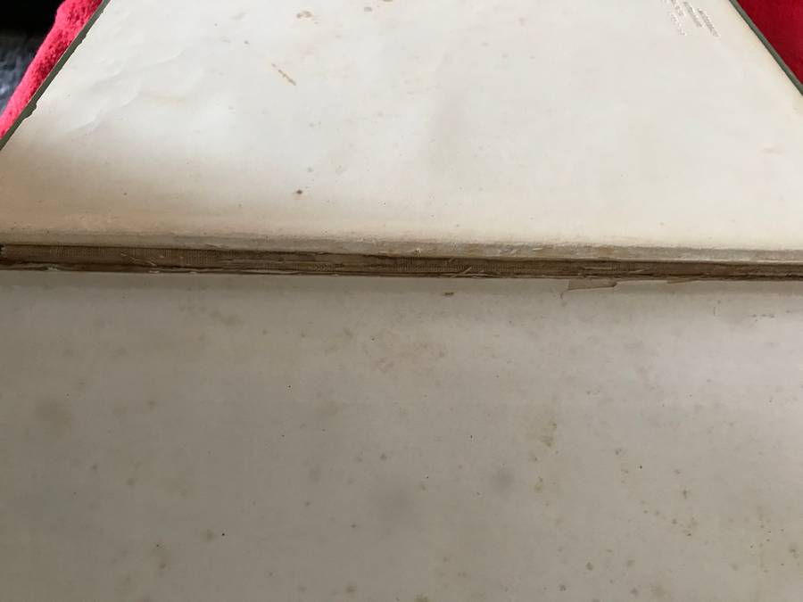 The Mammals of South Africa 1954 by Austin Roberts Hardcover