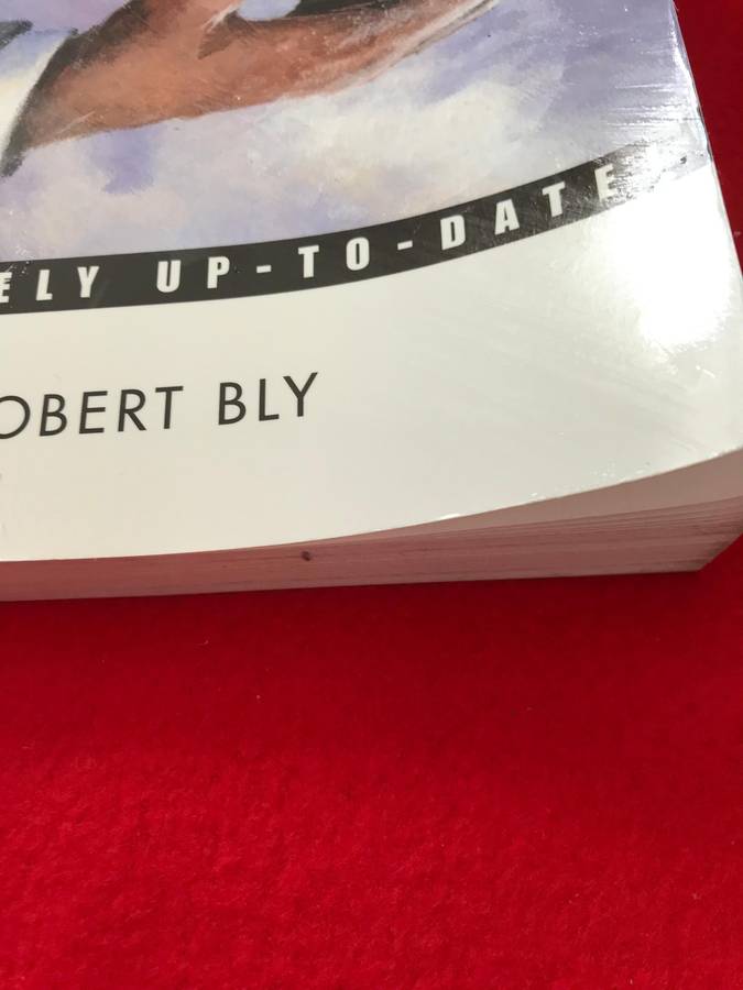 Getting Started in Speaking, Training, or Seminar Consulting by Robert Bly