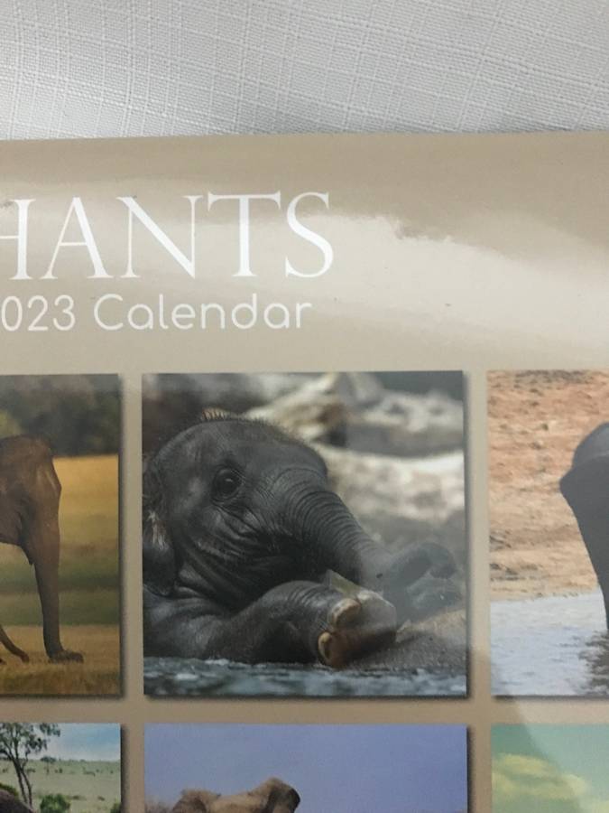 Elephants calendar 2023 Sealed New