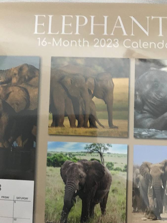 Elephants calendar 2023 Sealed New
