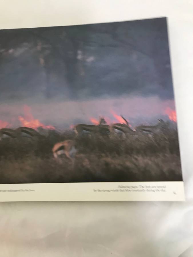 Serengeti by Mitsuaki Iwago