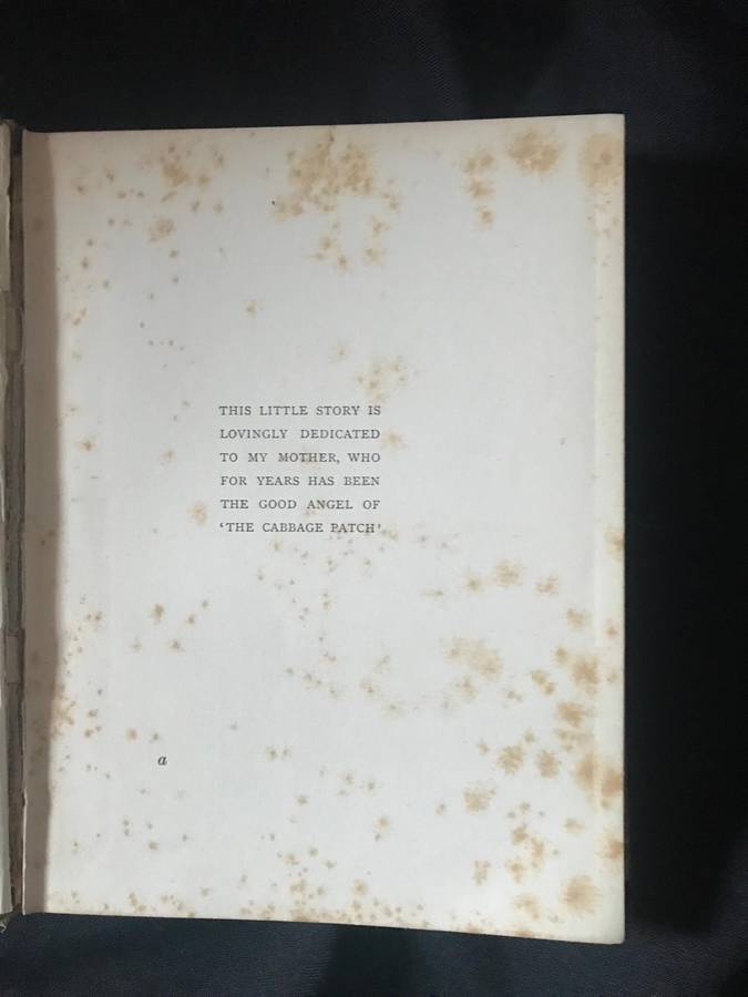 Mrs Wiggs of the Cabbage Patch Alice Hegan Rice