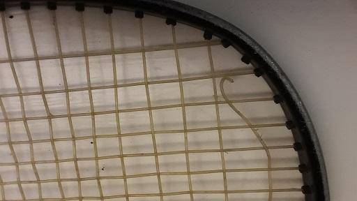 Junior Pro Kennex Tennis Racket