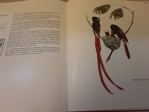 Books -  Garden Birds of South Africa , Kenneth Newman