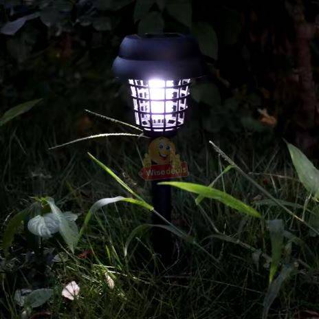 Dancing Flame and White Light 2 Piece Light Set