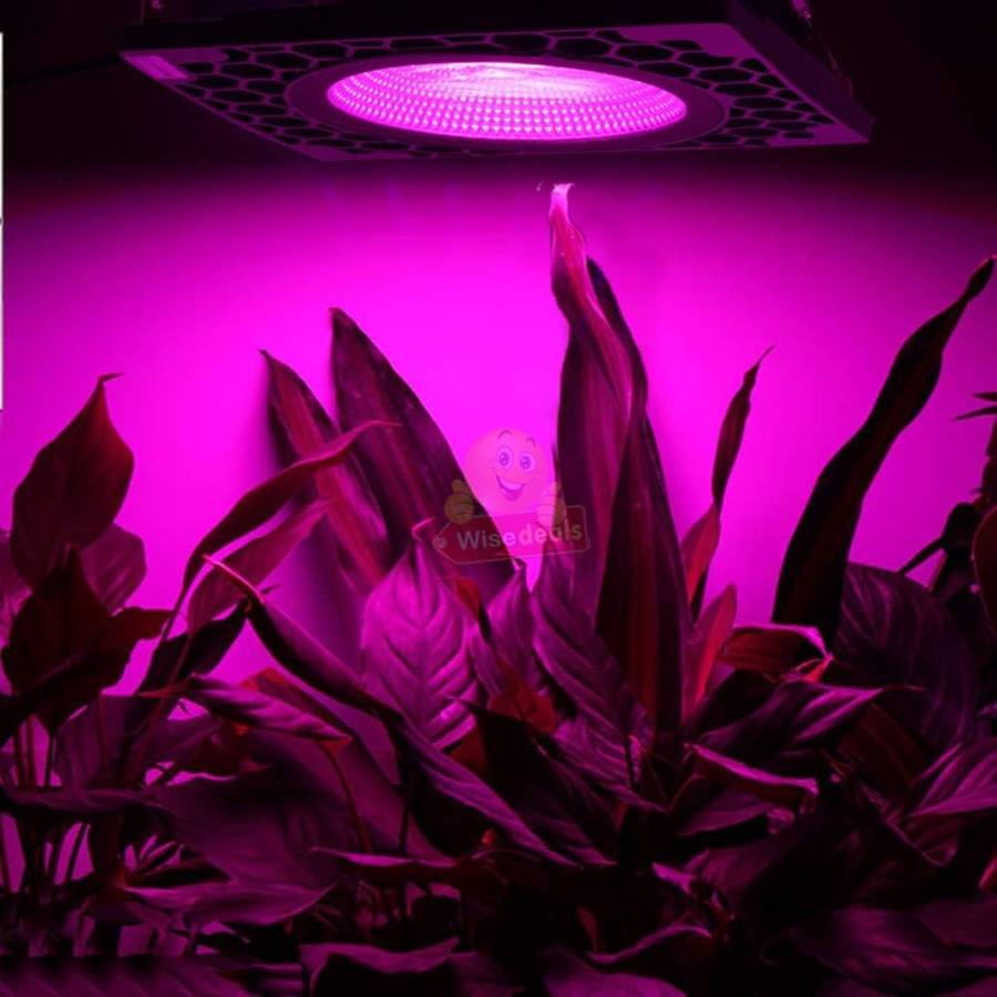 COB Full Spectrum Plant and Vegetable LED Grow Light