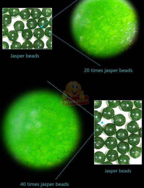 Handheld Mini Pocket Microscope 20X - 40X Optical Zoom with LED Light
