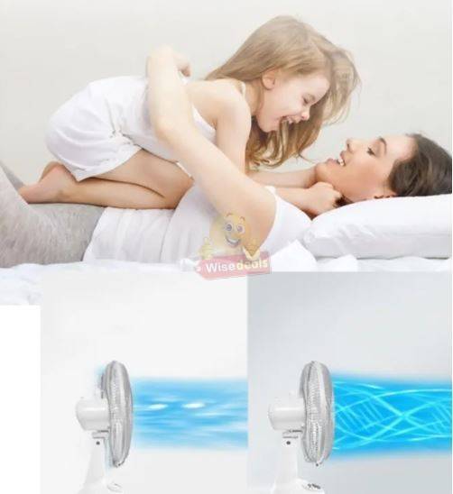 12-inch Rechargeable SOLAR or AC/DC Fan With 2 LED Lights