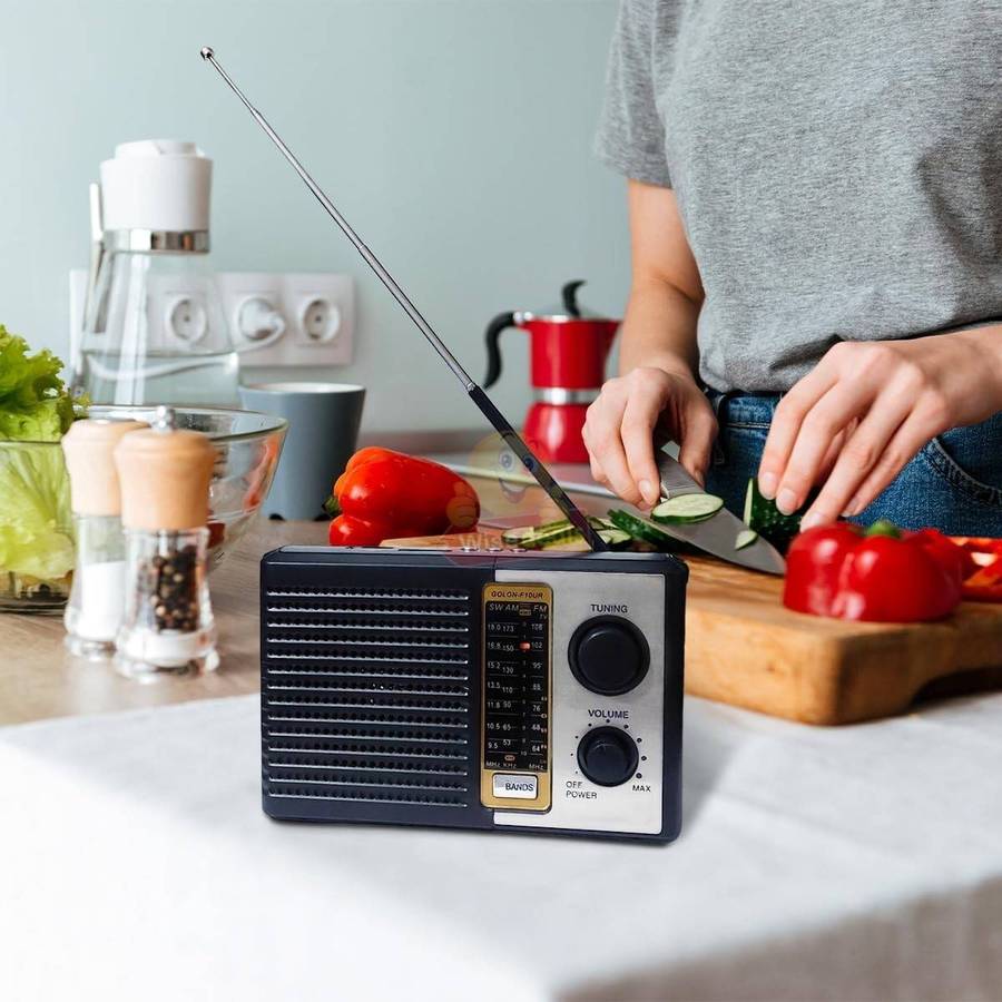 FM / AM / SW1  2 5 Band Radio