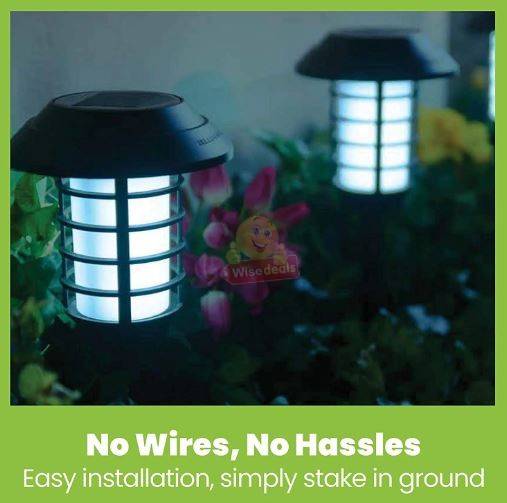 Dancing Flame and White Light 2 Piece Light Set