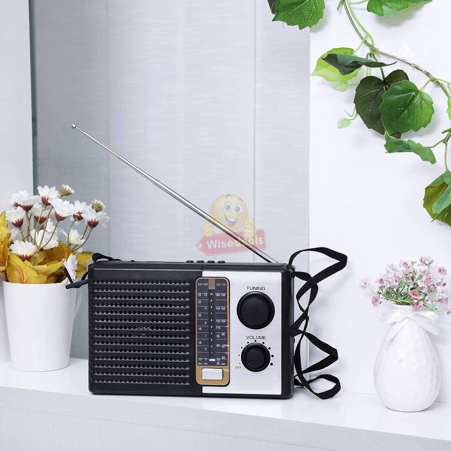 FM / AM / SW1  2 5 Band Radio
