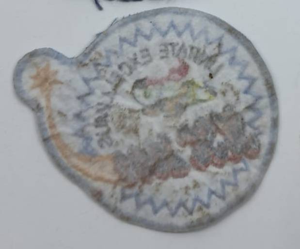 SADF - SAAF 21 Squadron Patch Badge