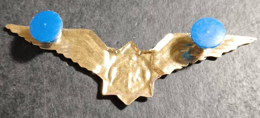 South African Special Task Force Wing