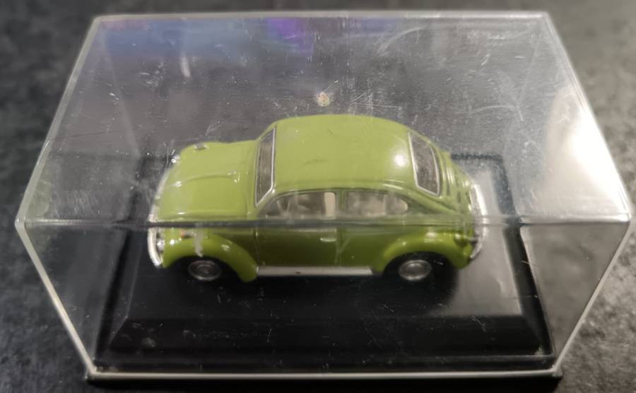 Beetle Model in Display Case