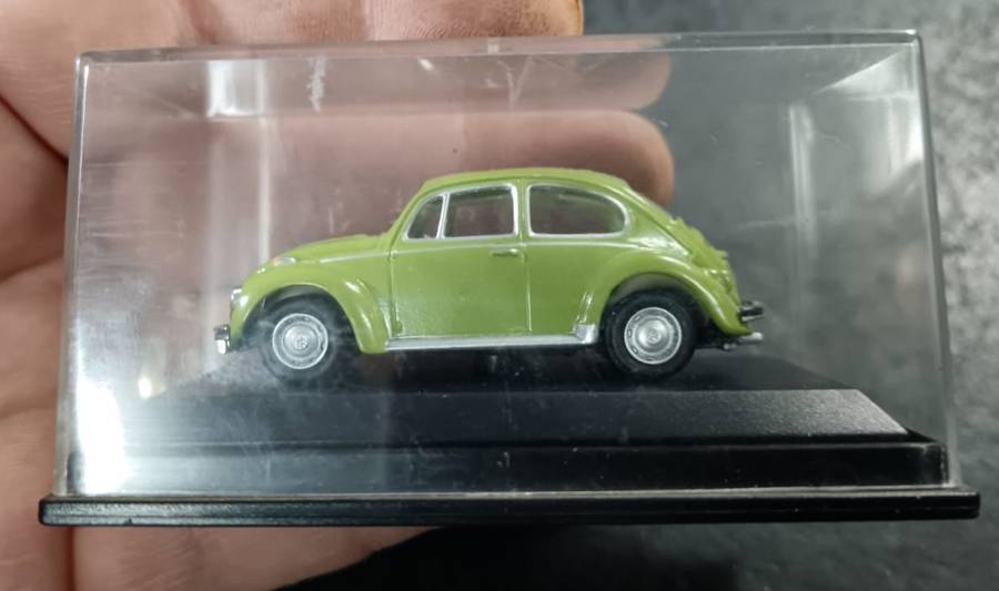 Beetle Model in Display Case