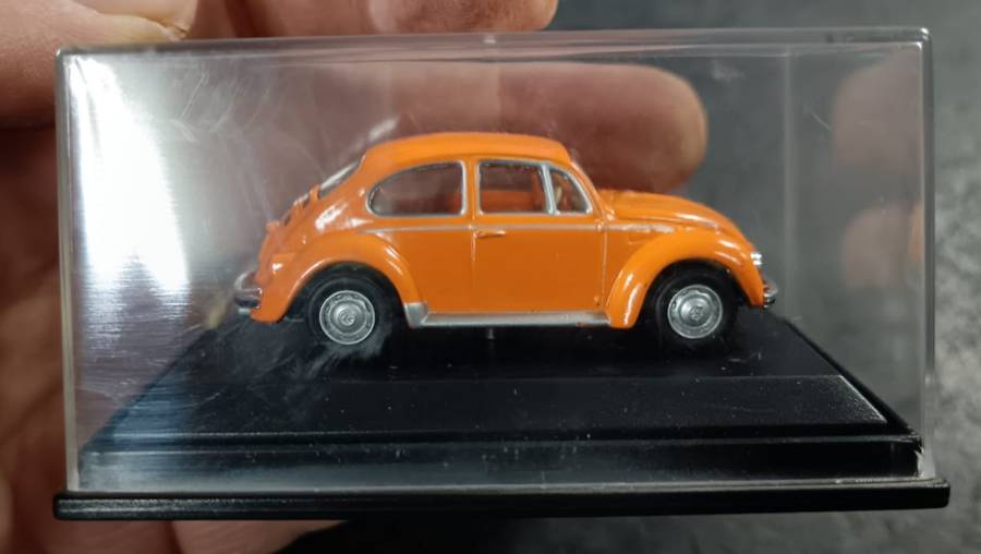 Beetle Model in Display Case