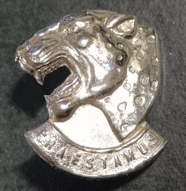SADF -  121 Battalion Cap Badge