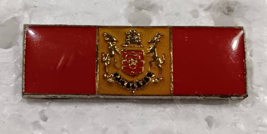 South AFrican Traffic Police Beret Bar