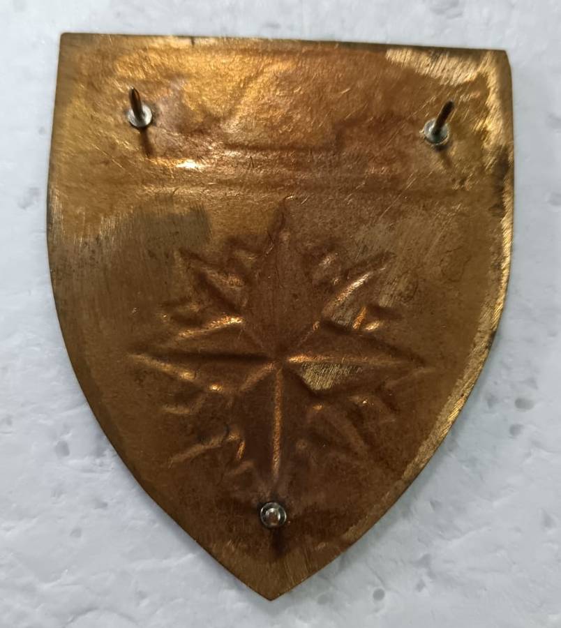 SADF - 4 Special Forces Regiment (Recce)Shoulder Flash