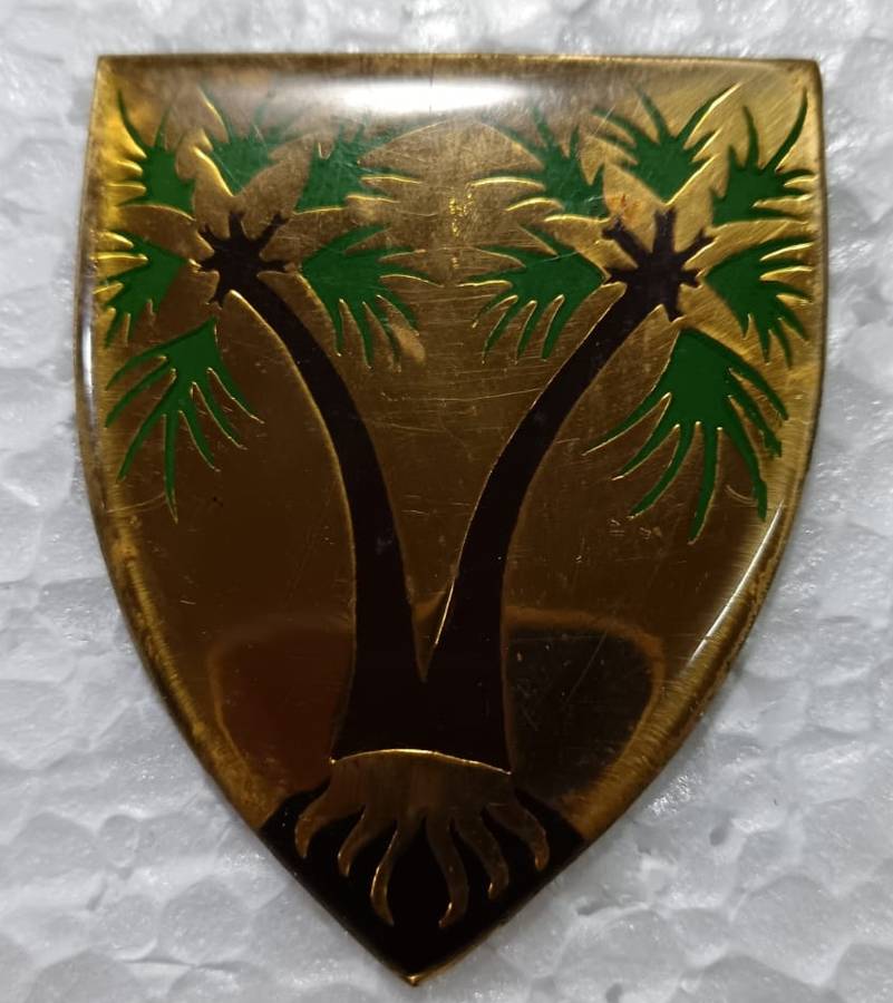SADF - SWA Log Grootfontein Shoulder Flash