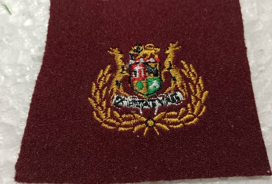 SADF - Medical Services Warrant Officer Rank Badge