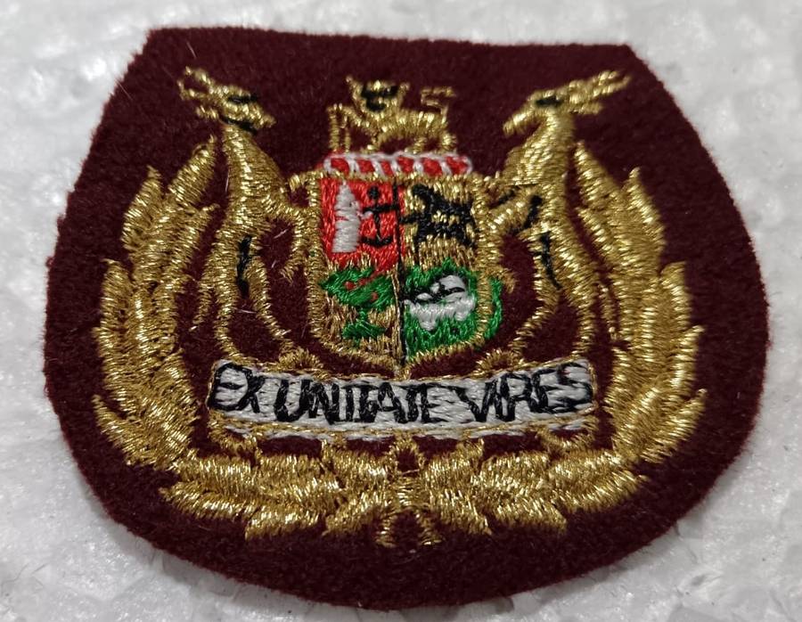 SADF - Medical Services Rank Badge