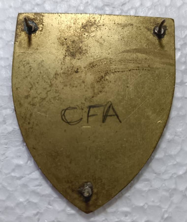 SADF - Cape Field Artillery Shoulder Flash