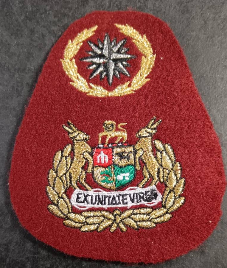 SADF - Special Forces (Recce) RSM Rank Badge