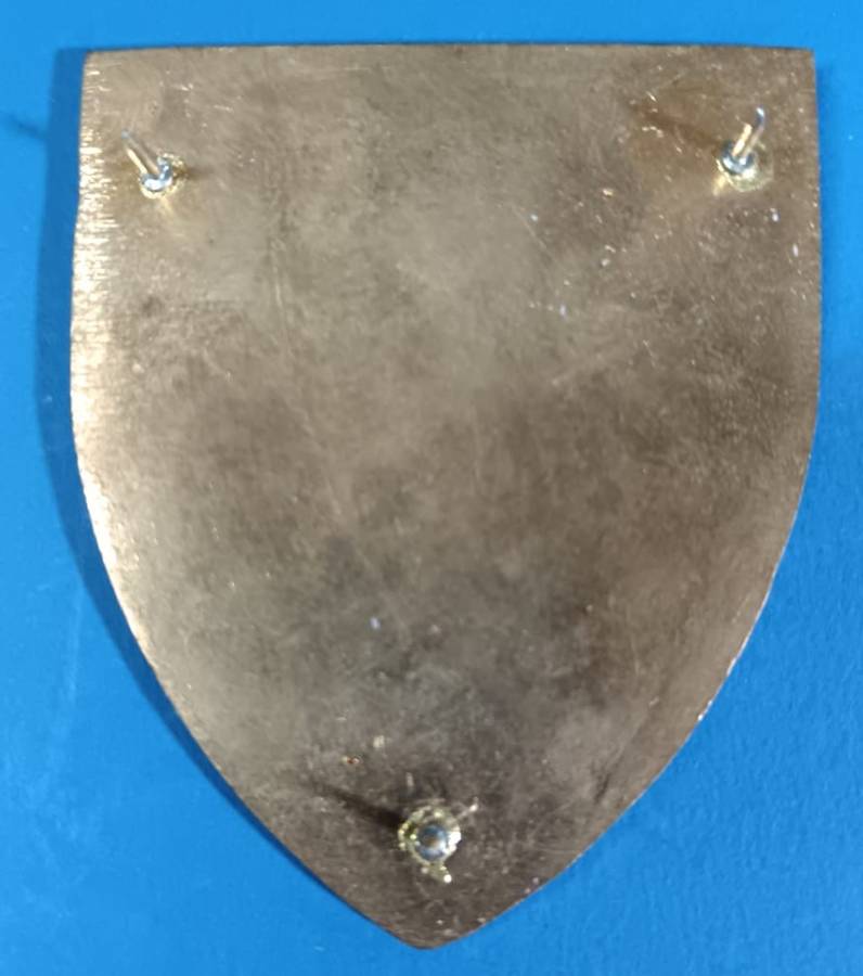 SADF - Medical Depot Shoulder Flash