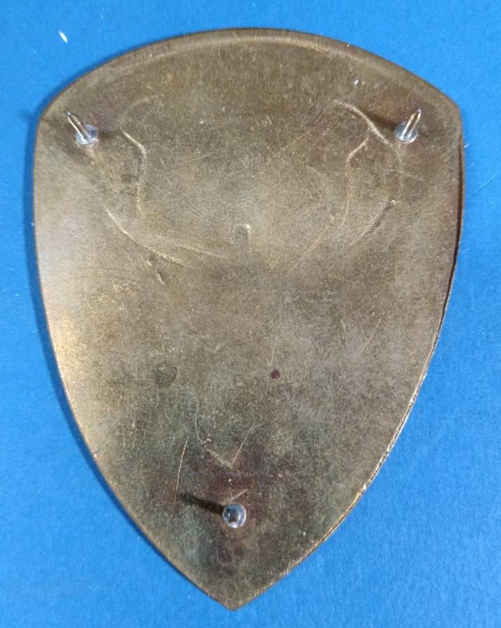 SADF - 3 Military Hospital Shoulder Flash
