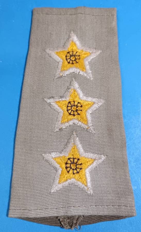 SADF - Army Captain Slip on Rank
