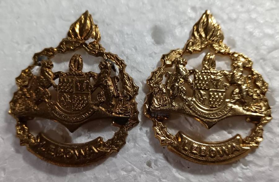 (Homelands)Warrant Officer Rank Pair