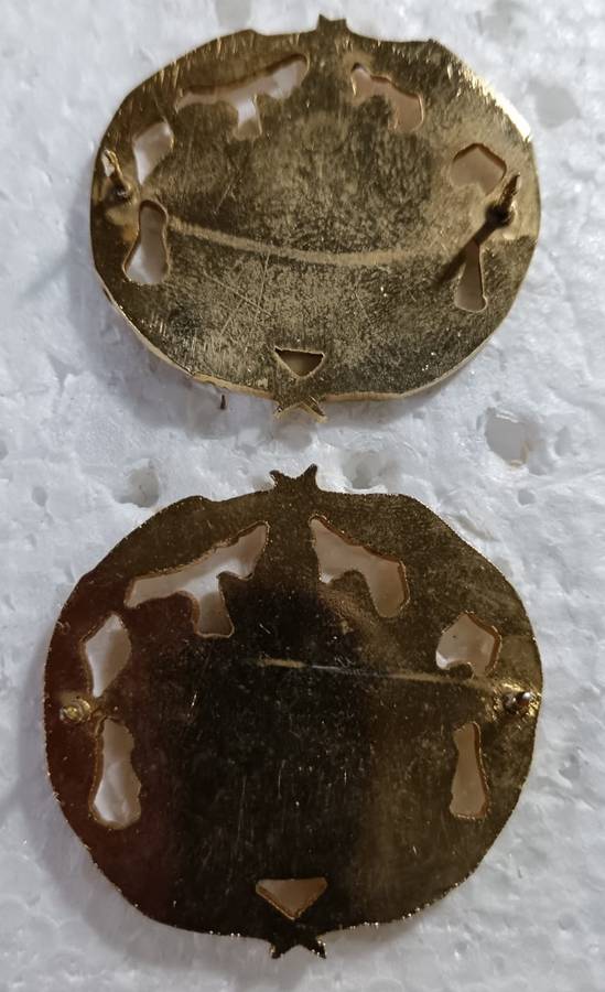 (Homelands) Warrant Officer Rank Badges