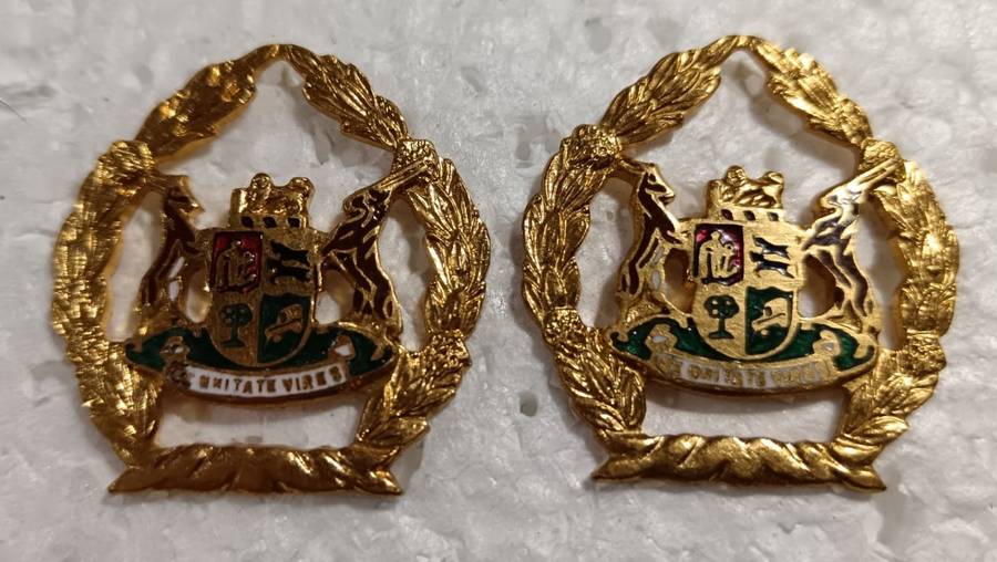 South African Warrant Officer Rank Lot