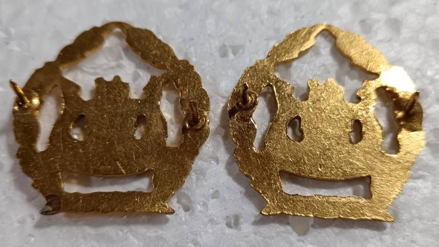 South African Warrant Officer Rank Lot