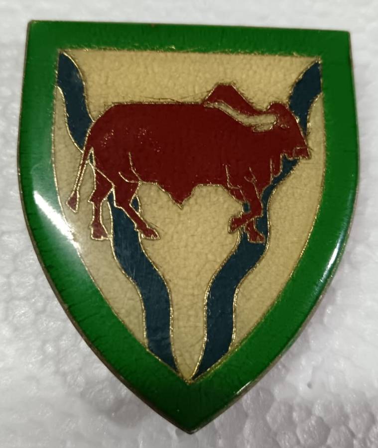 SADF - Theunisen Commando Shoulder Flash