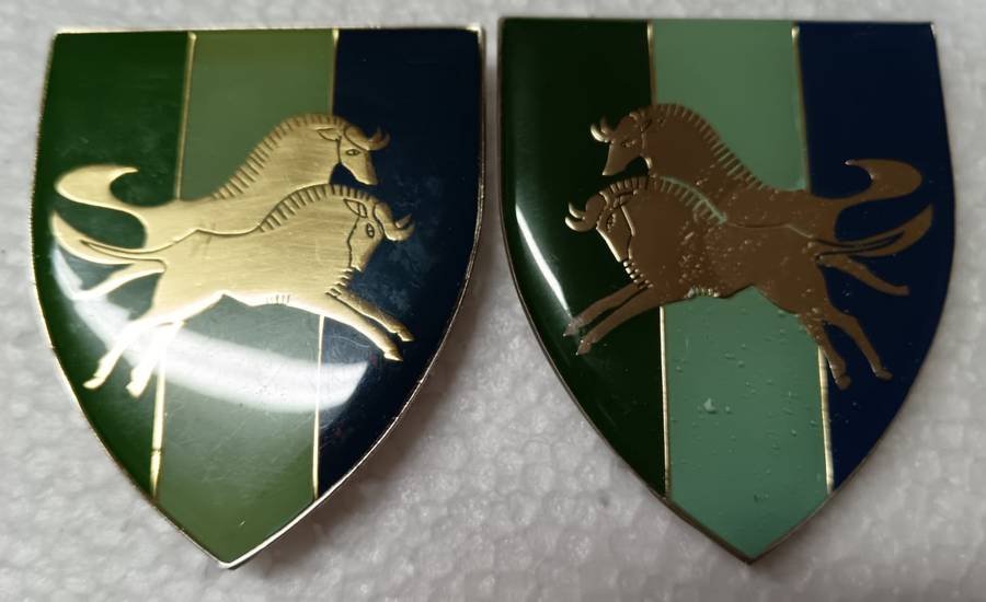 SADF - Natal Command Signals Shoulder Flash Pair