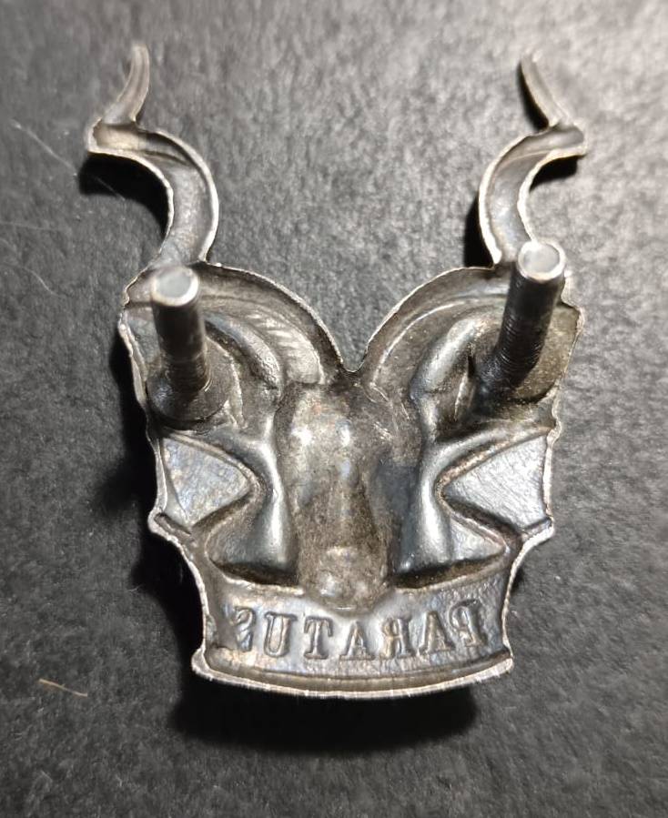 SADF - SWATF Cap Badge