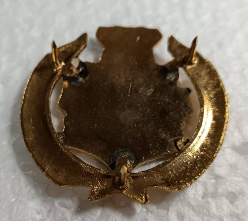 (Homelands) Warrant Officer Rank Badge