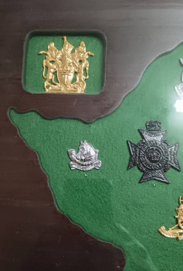 Rhodesian Security Forces Cap Badge Collection in Display Case - Numbered Set