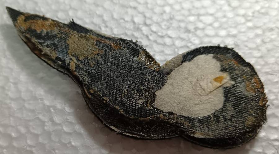 SADF - SAAF Radio Operator Wing