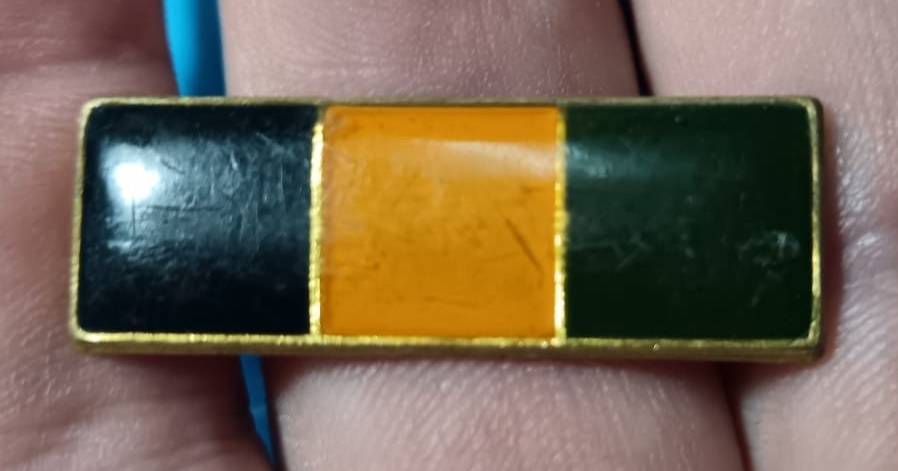 SADF - Infantry Beret Bar