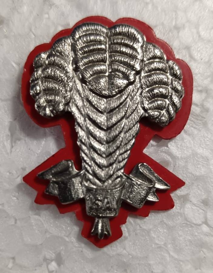 SADF - 1 SA Infantry Battalion Cap Badge